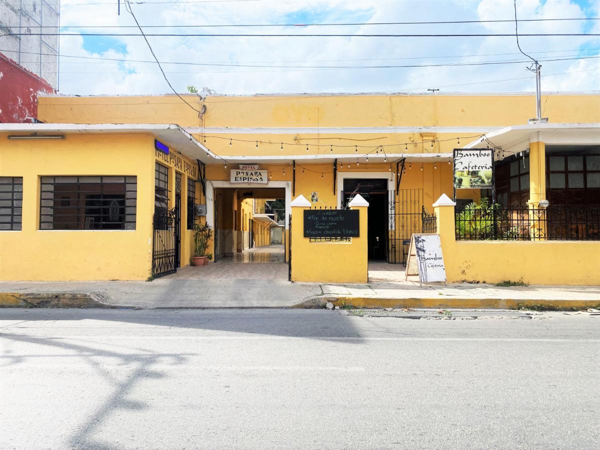 Oyo Posada Espinosa, Merida, Parque De Santa Ana Dış mekan fotoğraf